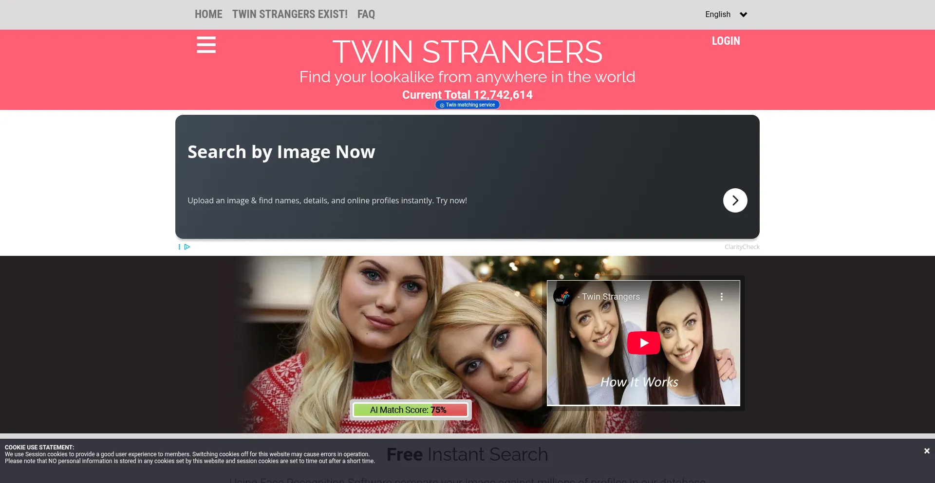 Twinstrangers.com Screenshot