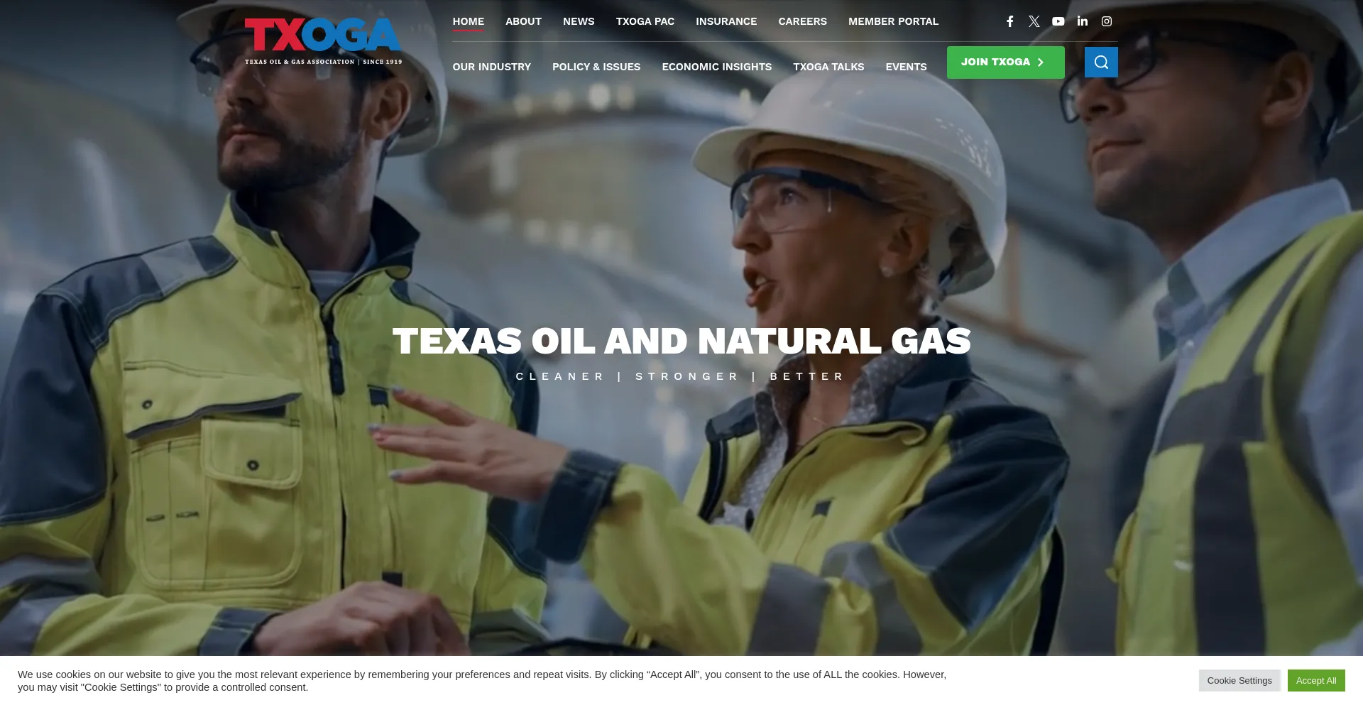 Website screenshot of Txoga.org