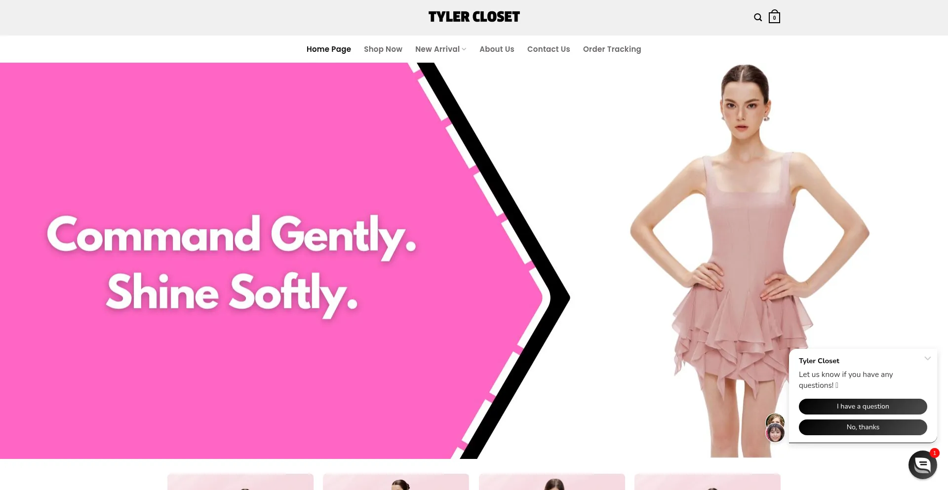 Tylercloset.com Screenshot