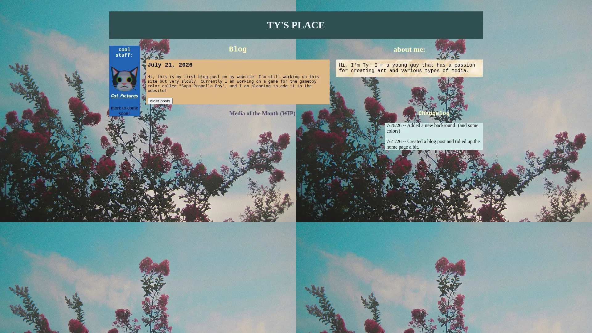 Tysplace.xyz