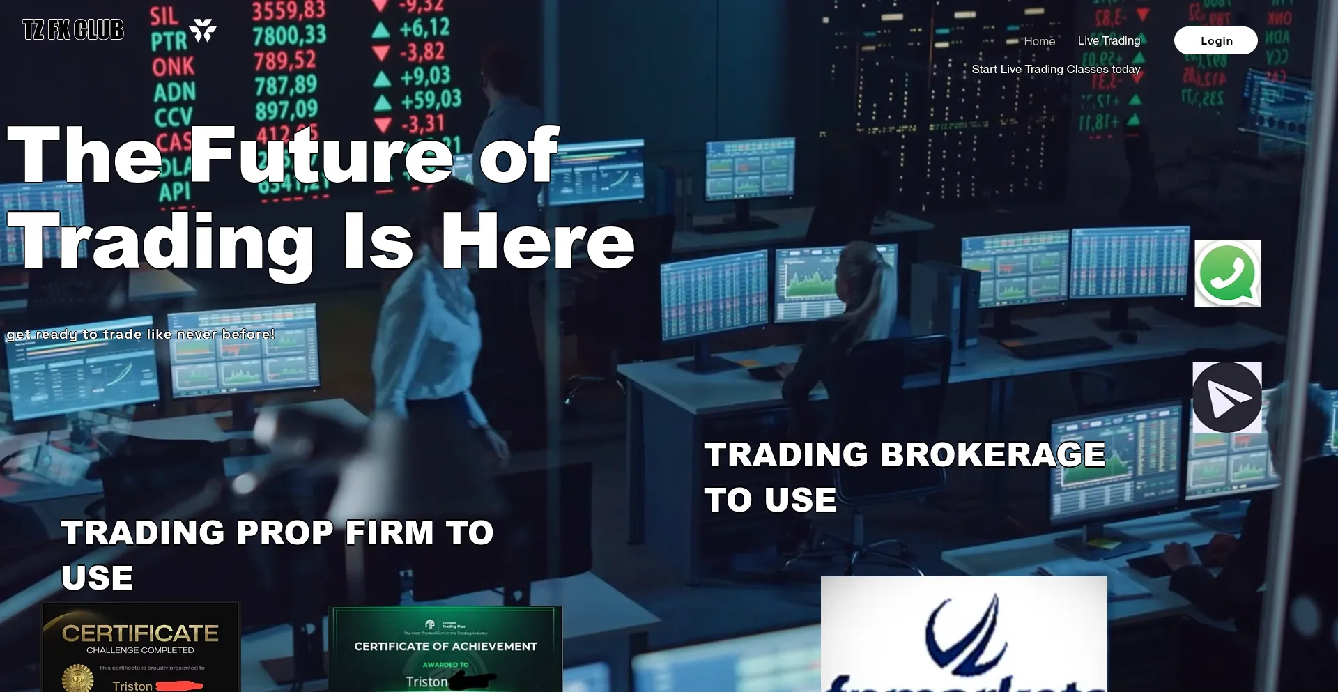 Website screenshot of Tztradingz.com