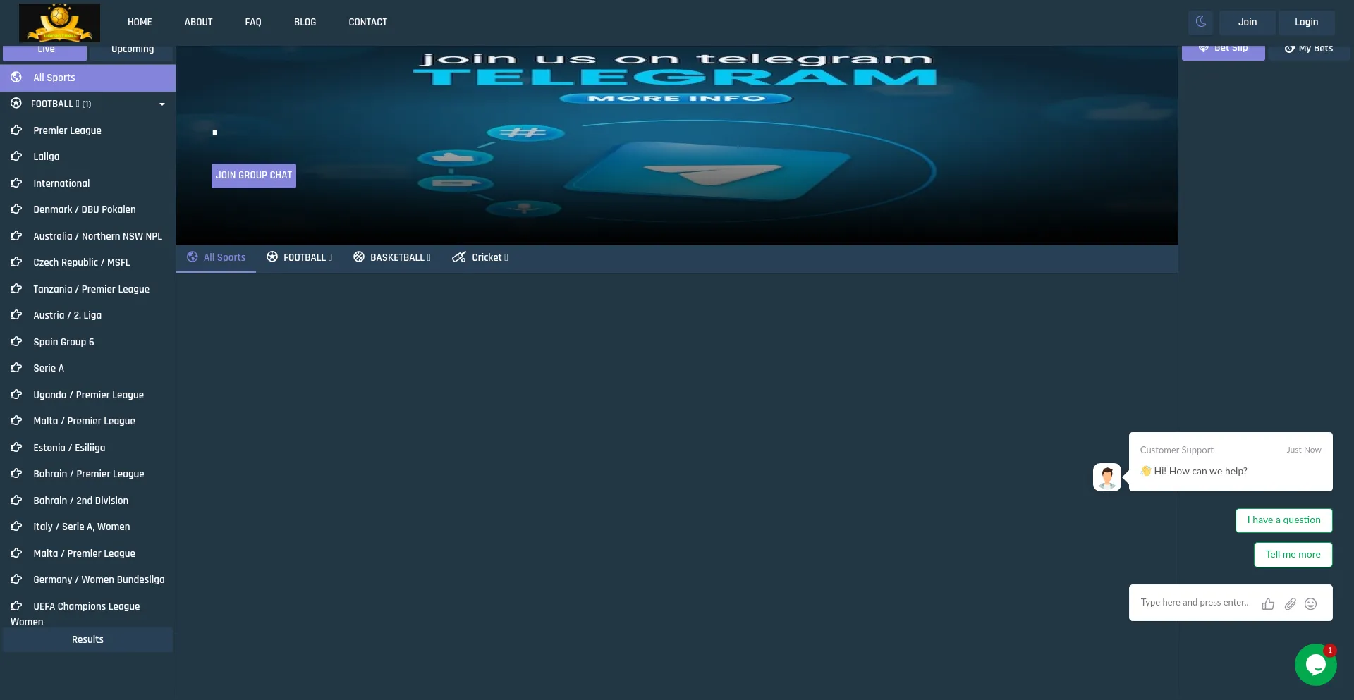 Website screenshot of Ugfootballs.com
