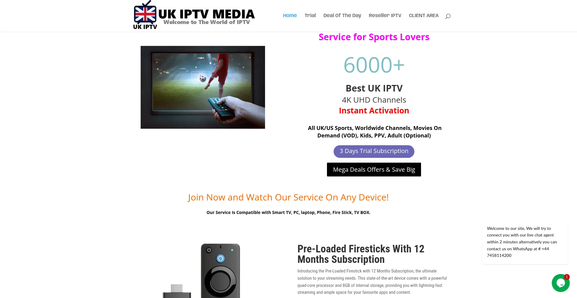 Website screenshot of Ukiptv.co