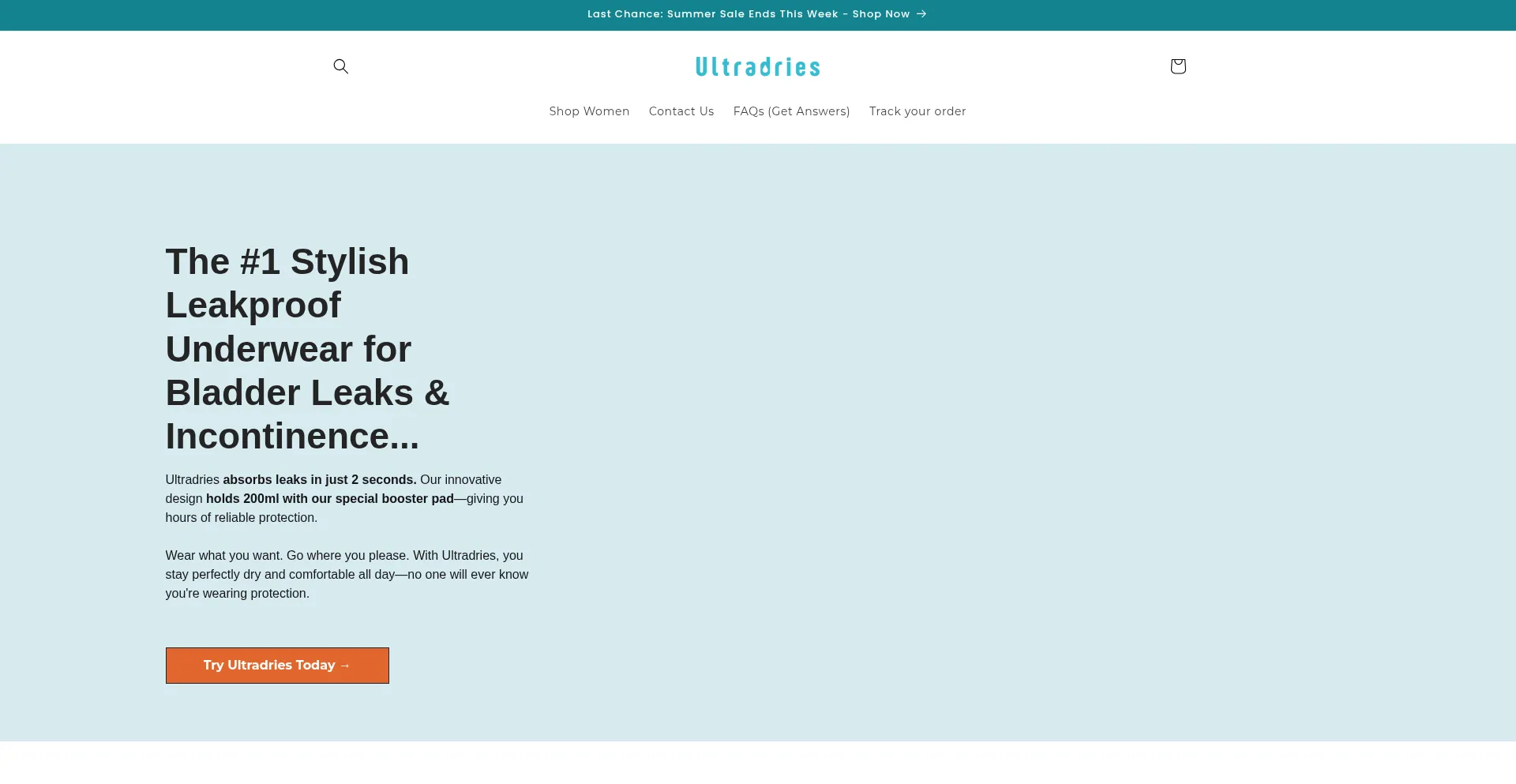 Website screenshot of Ultradries.com
