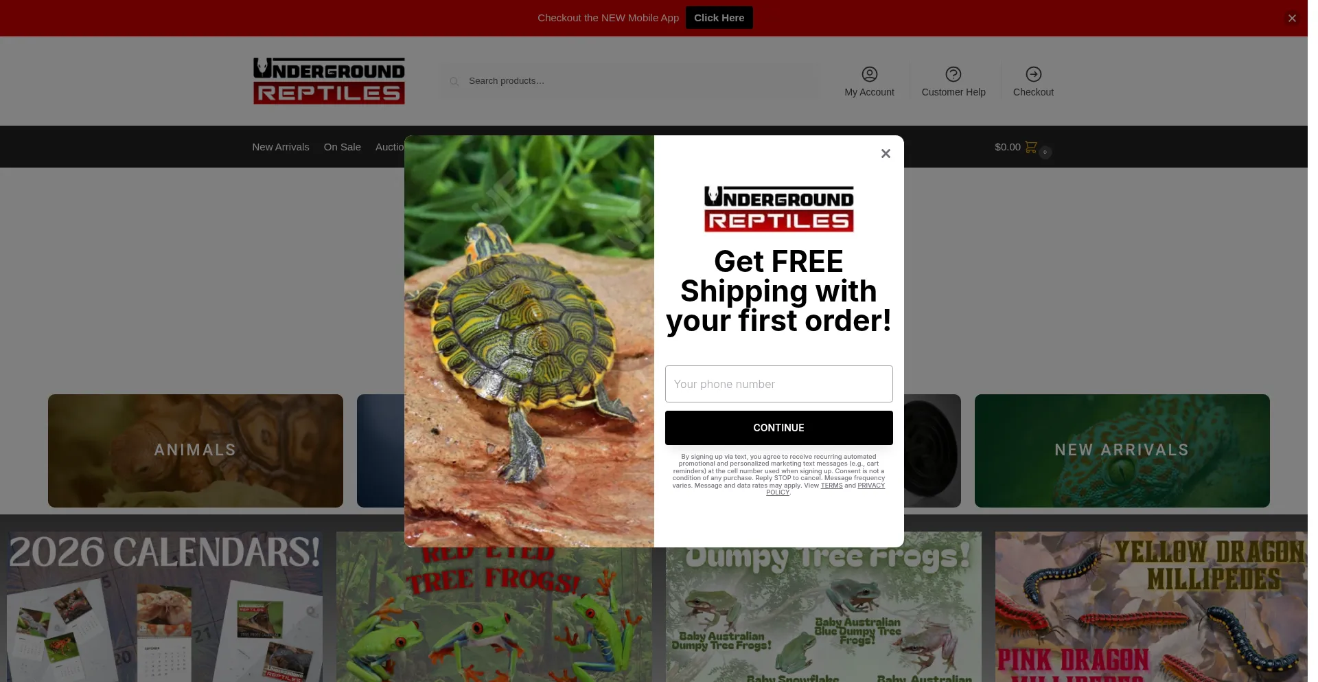 Undergroundreptiles.com