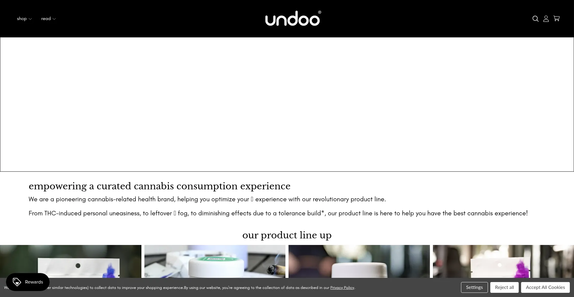 Website screenshot of Undoo.com