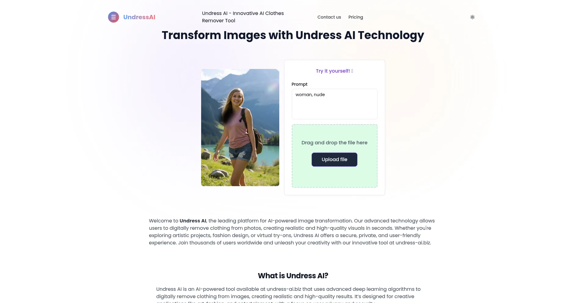 Is Undress-ai.biz Safe?