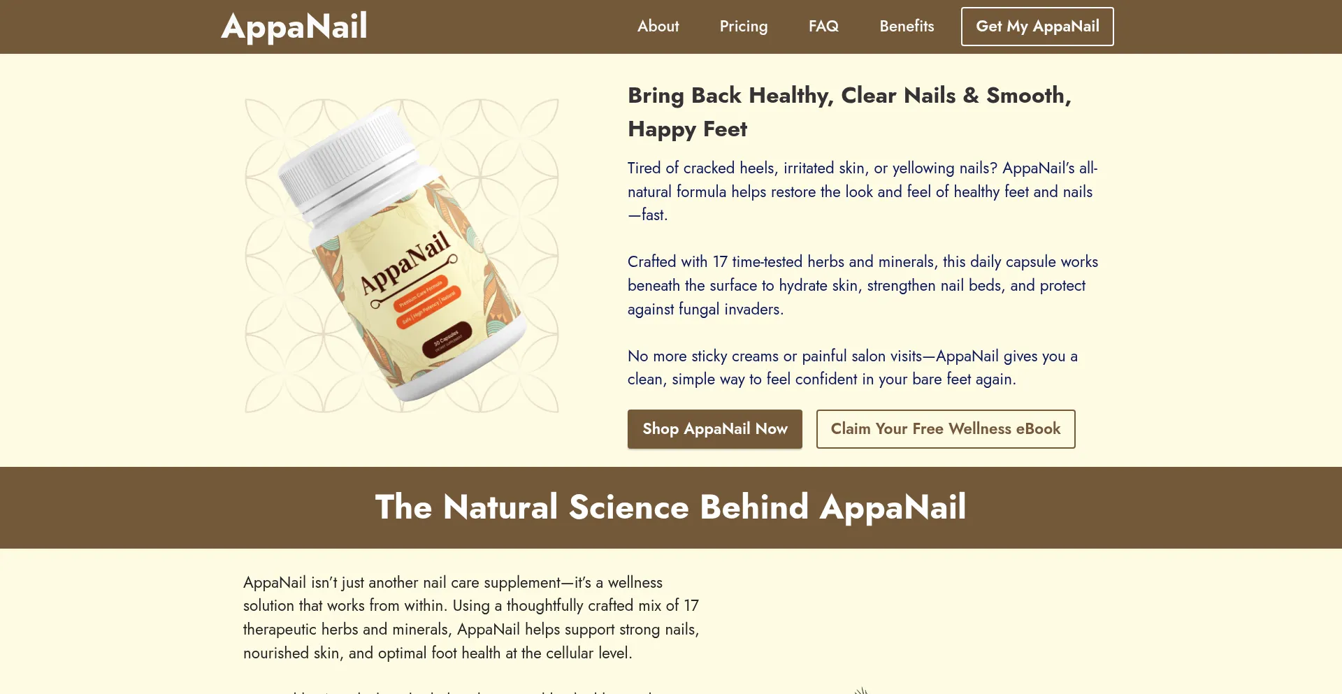 Us-appanailes.com Screenshot