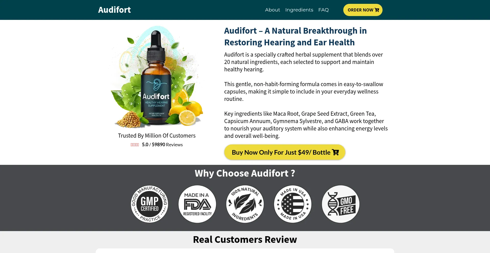 Website screenshot of Us-en-audifort.us