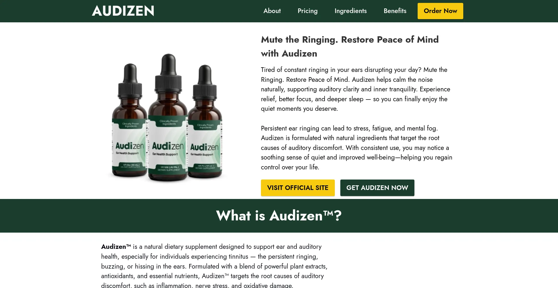 Us-en-us-audizen.com
