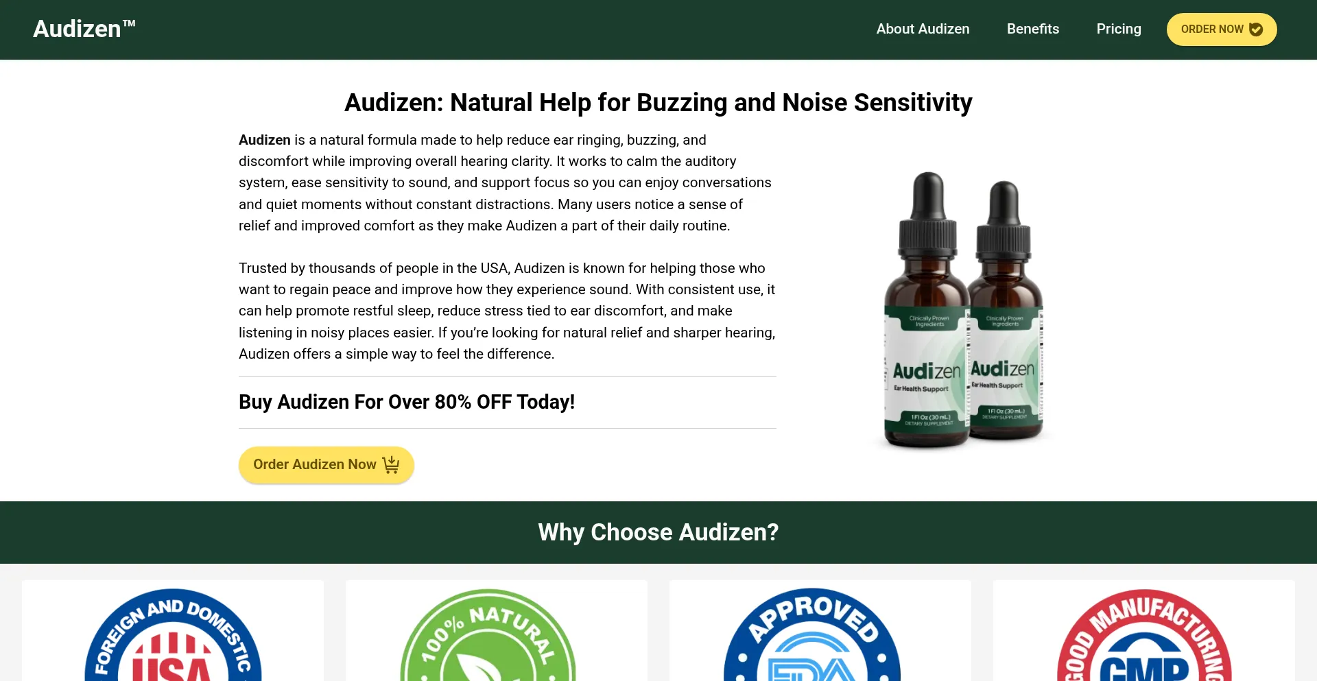 Website screenshot of Us-us-audizen.us