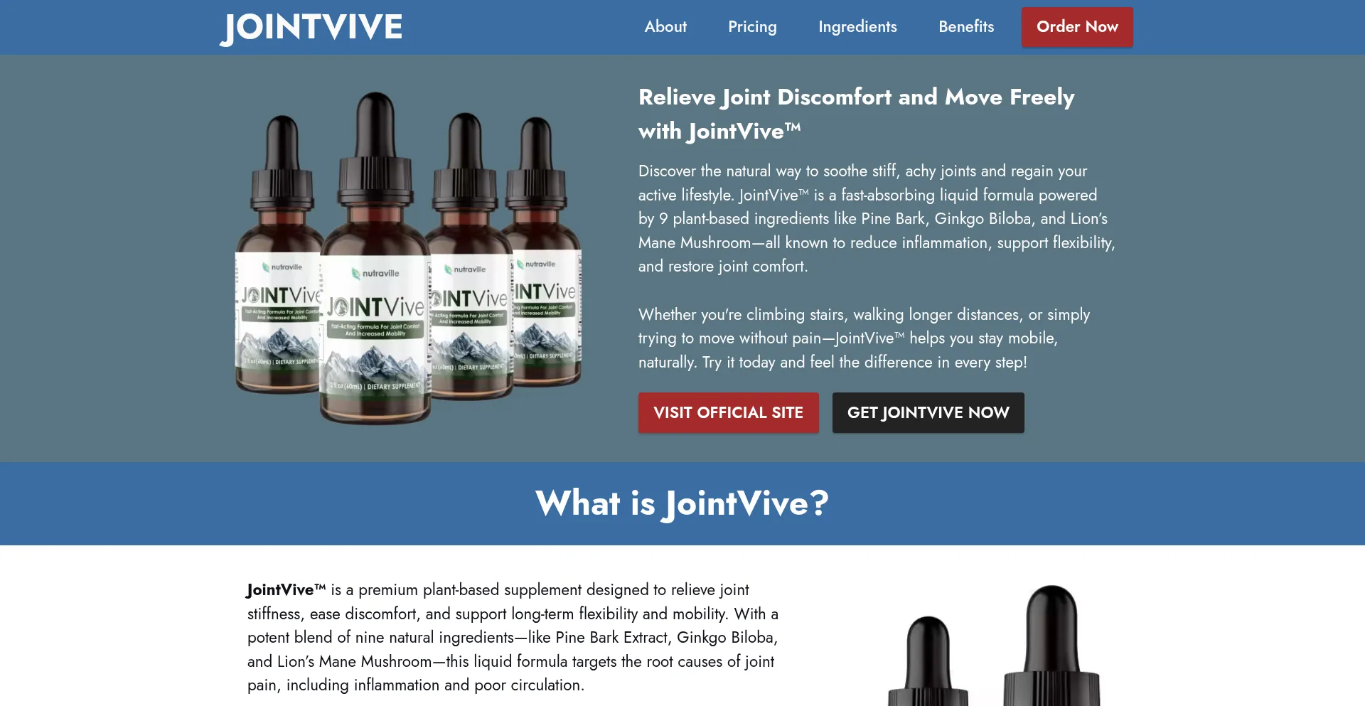 Is Us-usa-jointvive.com Safe?