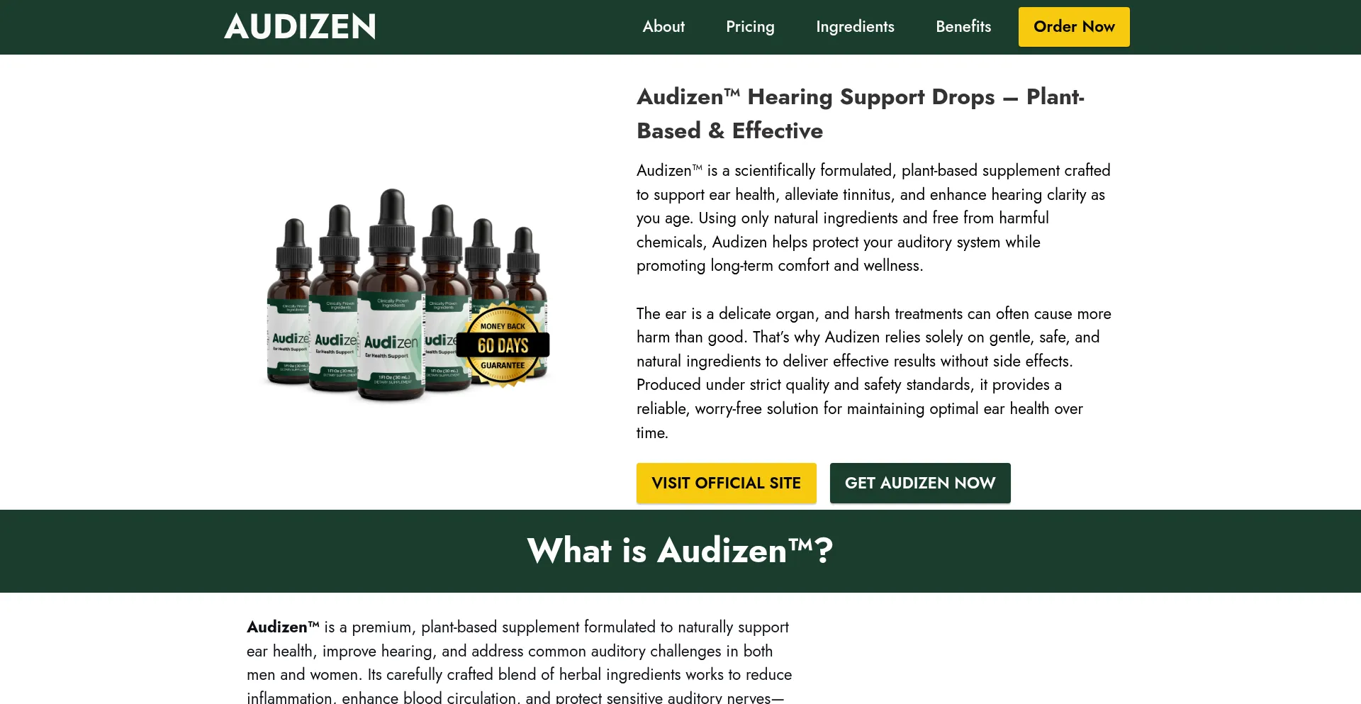 Website screenshot of Usa-audizen.us