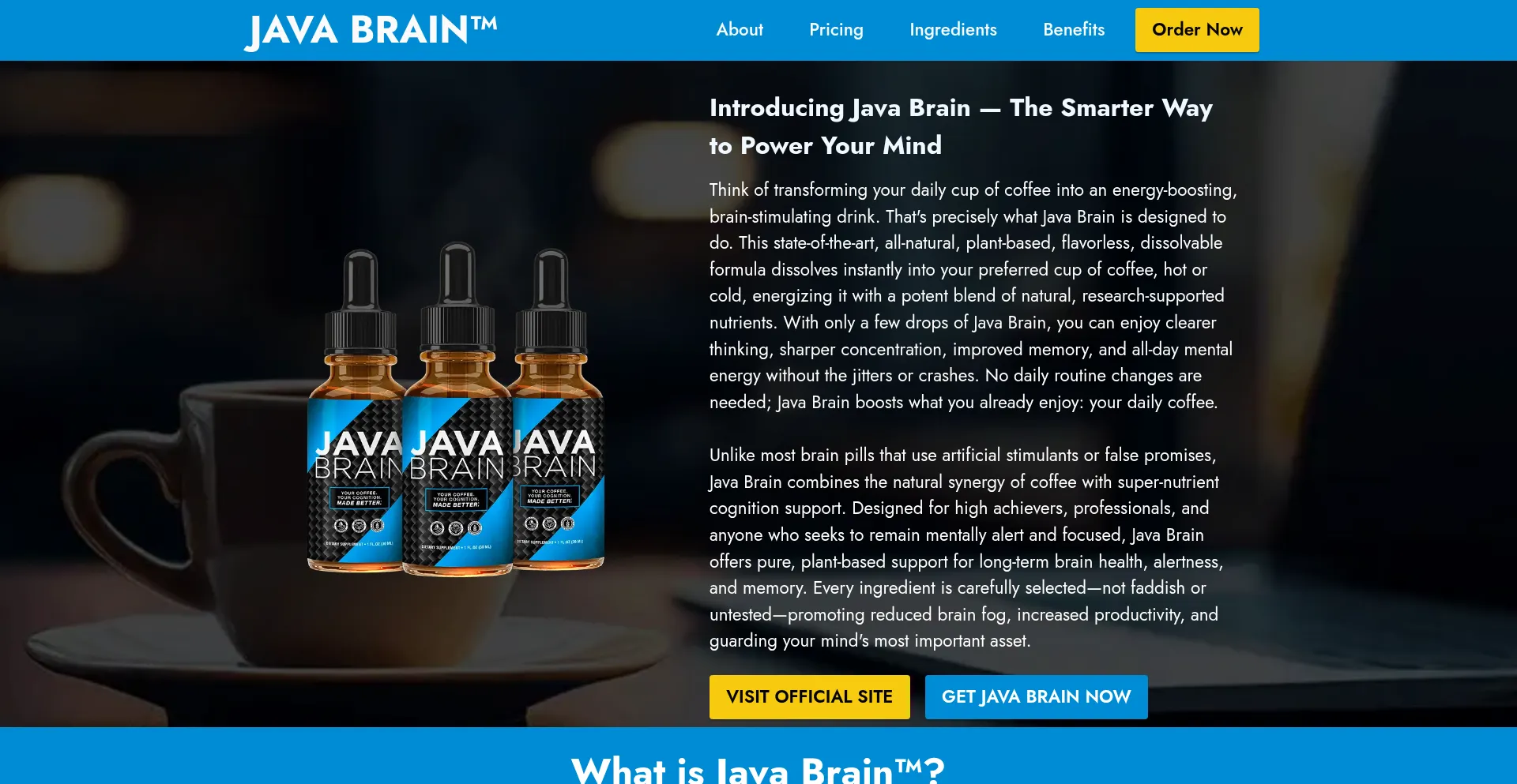 Usa-eng-javabrain.com Screenshot