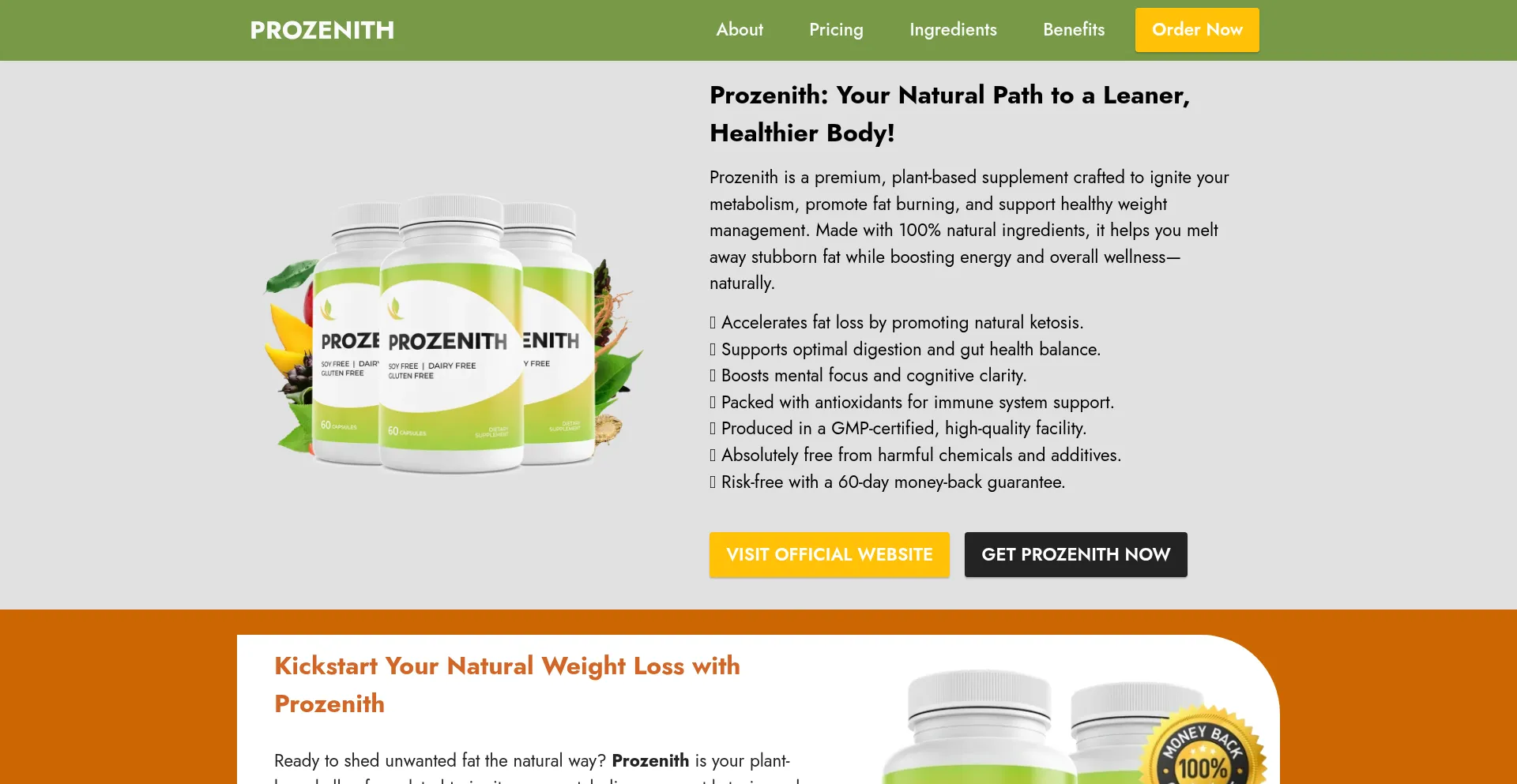 Website screenshot of Usa-prozenith.us
