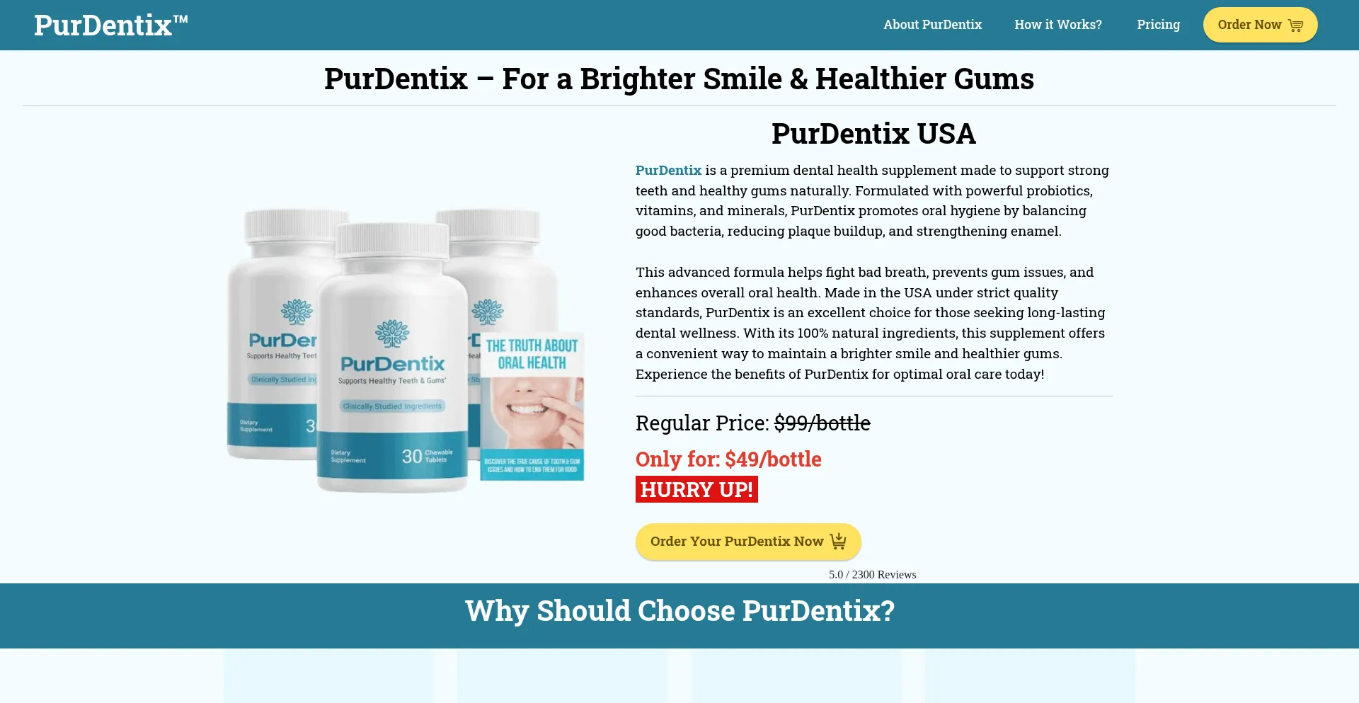 Website screenshot of Usa-purdentix.us