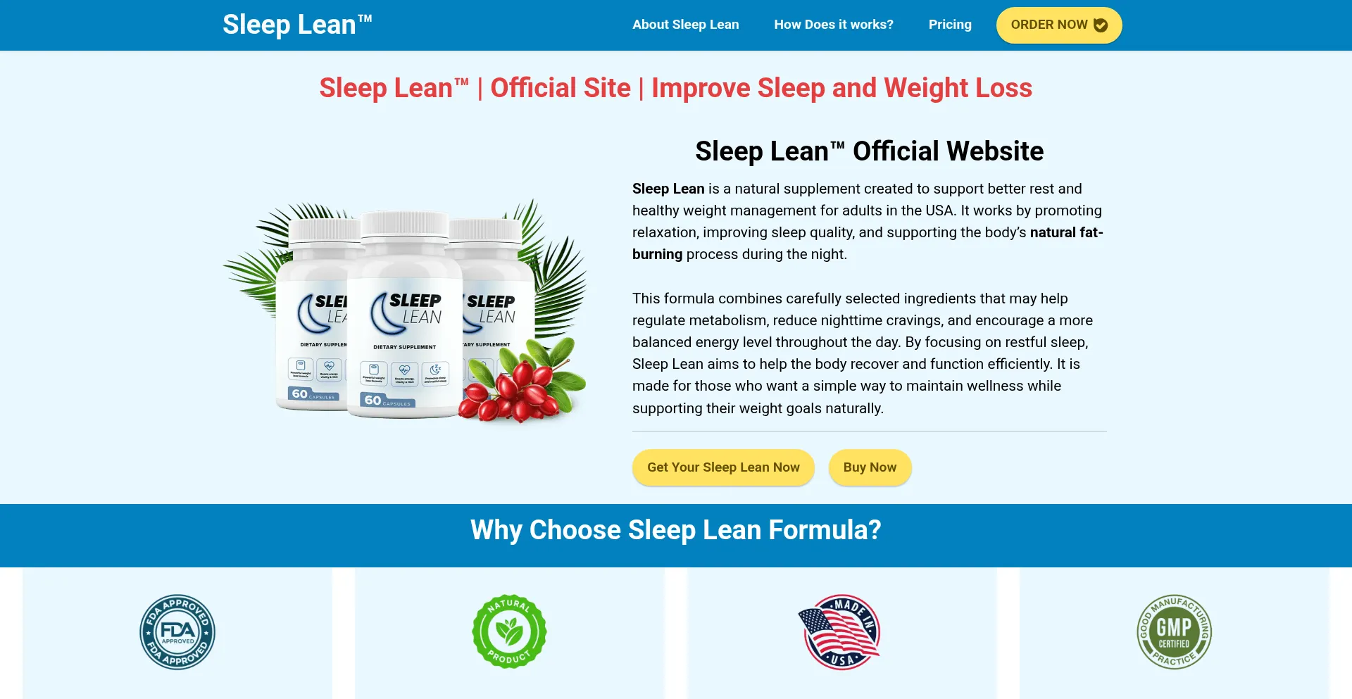 Website screenshot of Usa-usa-sleeplean.com