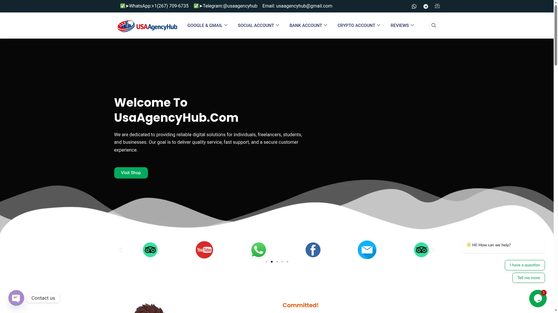 Usaagencyhub.com