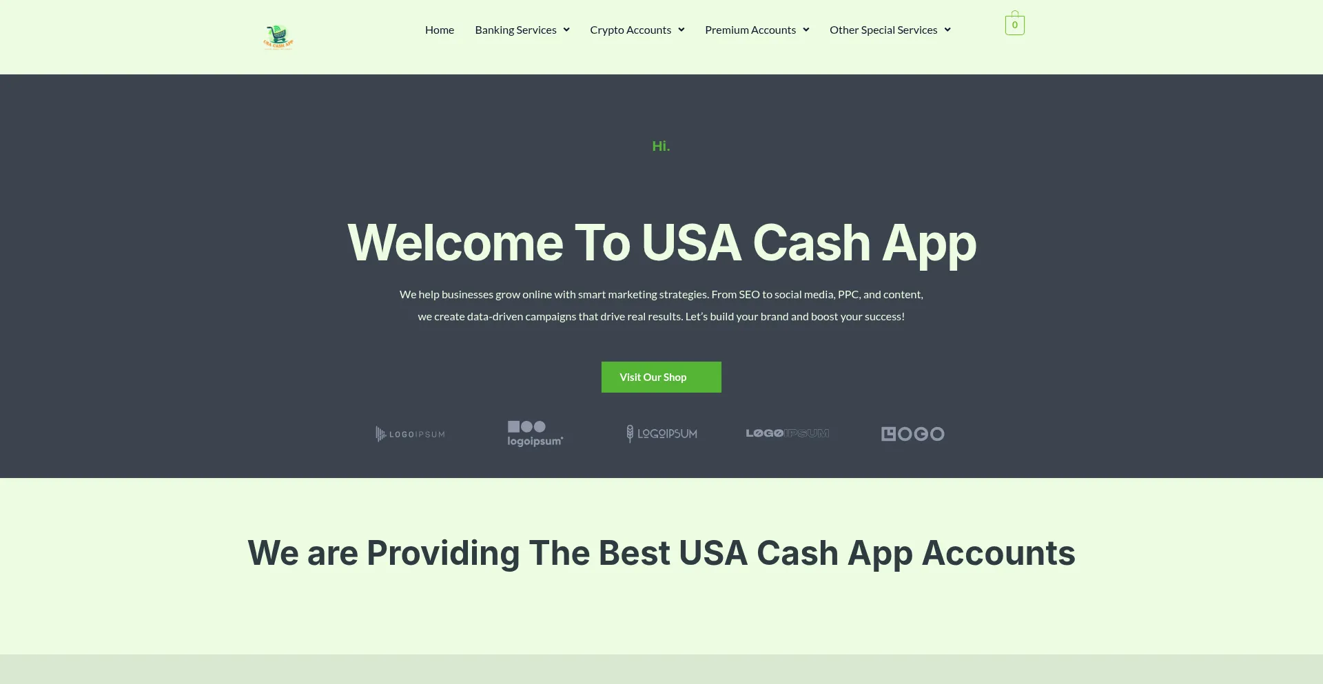 Website screenshot of Usacashapp.com