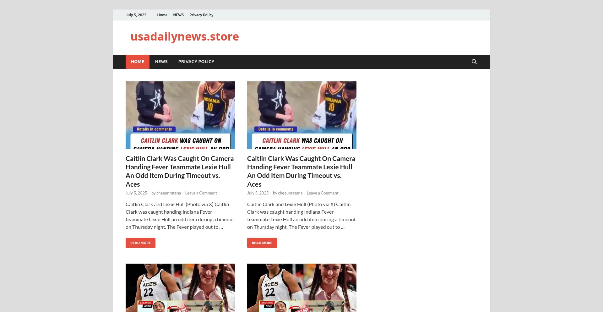 Website screenshot of Usadailynews.store