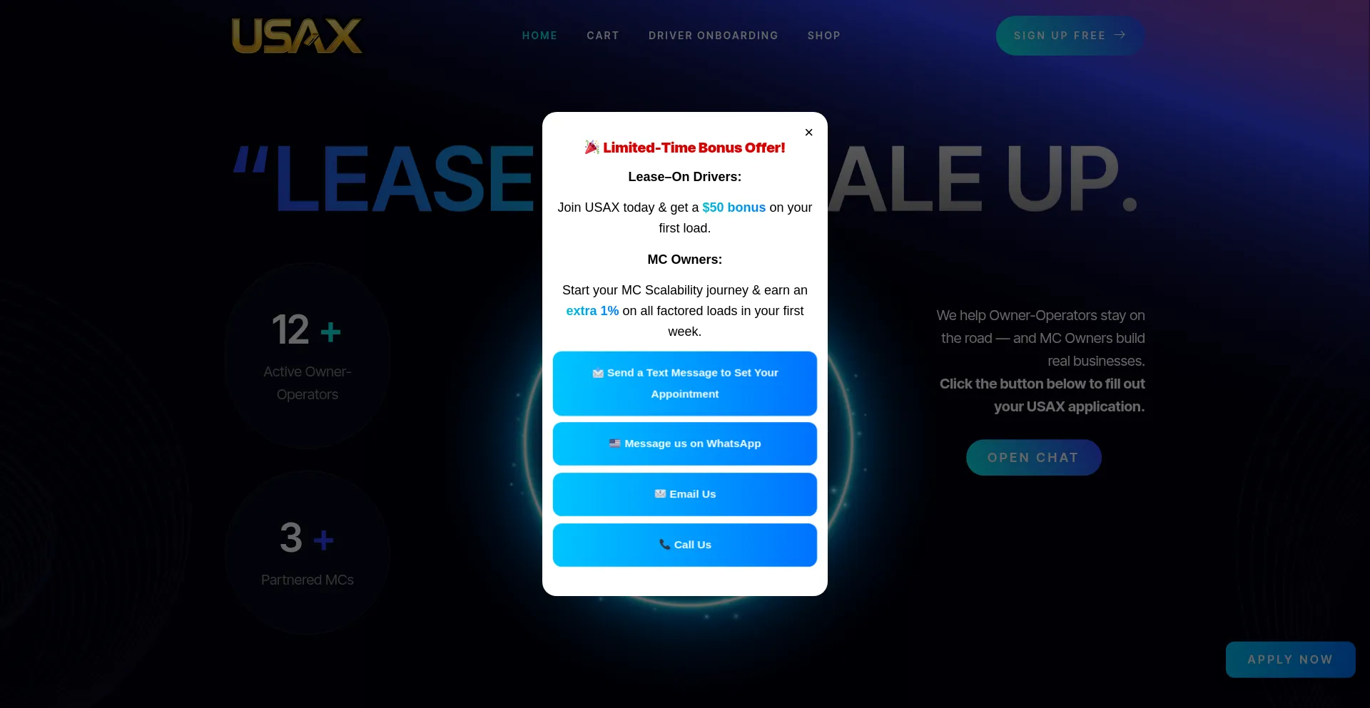 Website screenshot of Usaleaseon.com