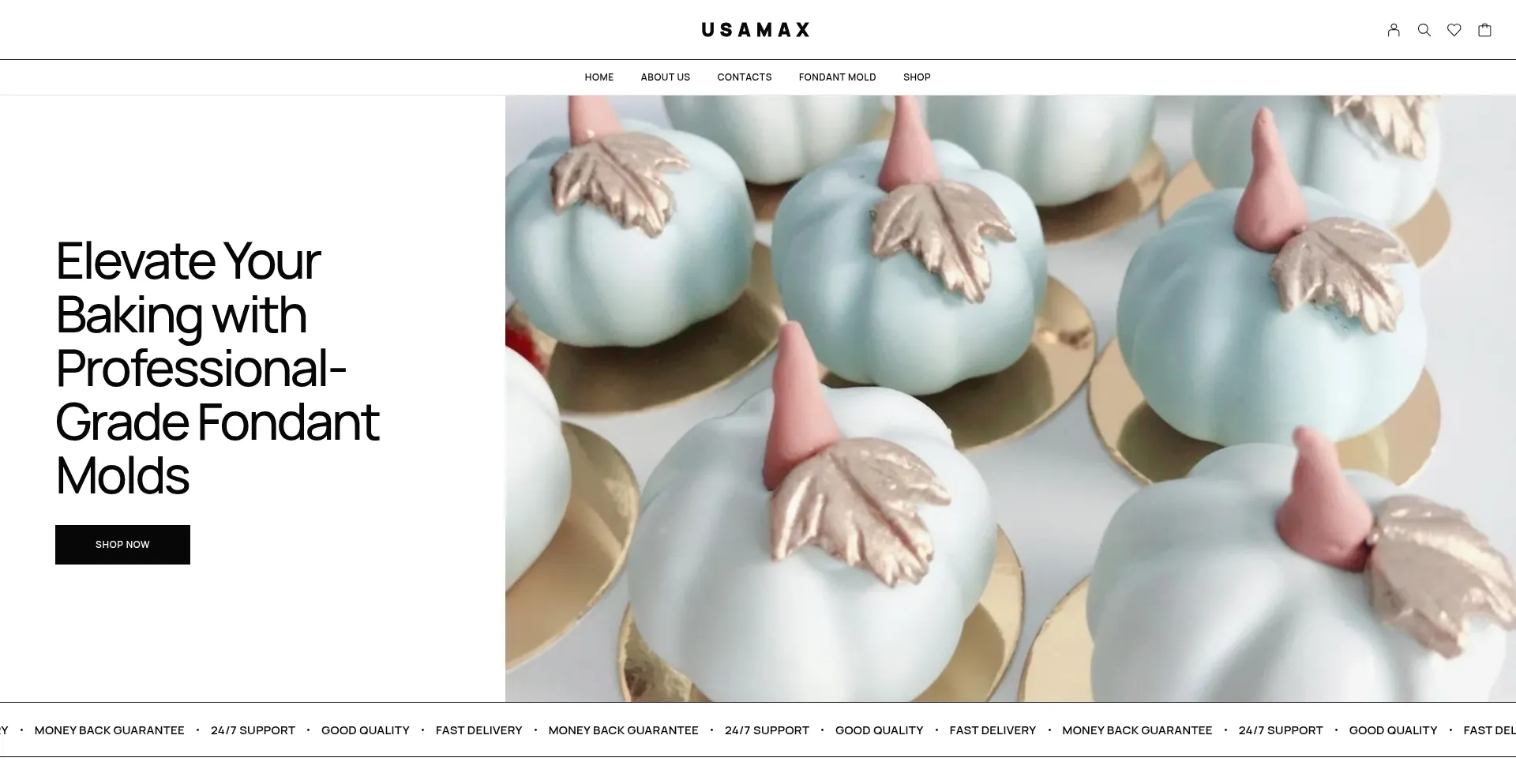 Website screenshot of Usamax.shop