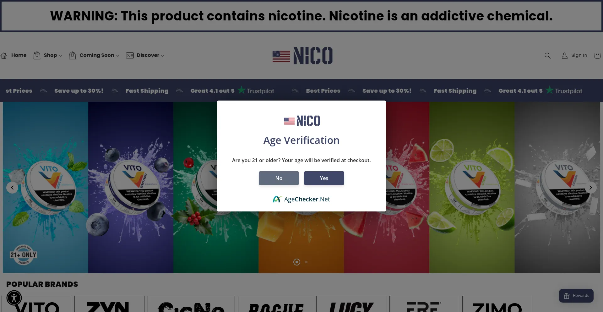 Website screenshot of Usanico.com