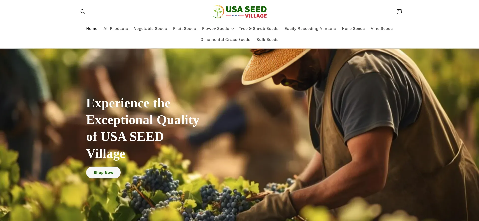 Website screenshot of Usaseedvillage.com