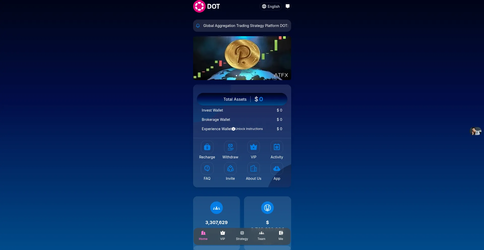 Website screenshot of Usddoot.com