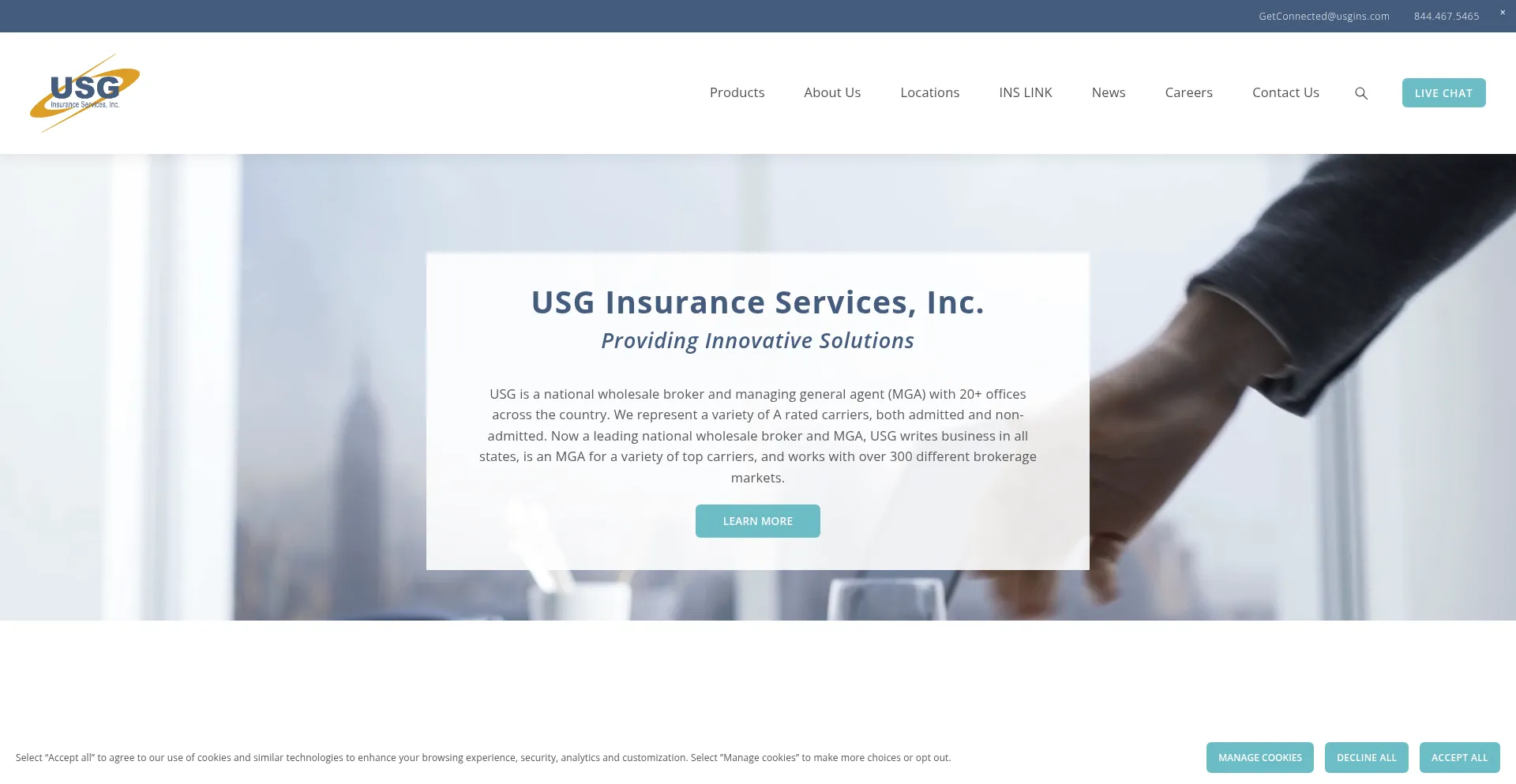 Website screenshot of Usgins.com