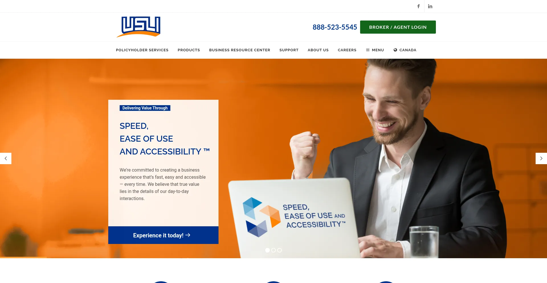 Website screenshot of Usli.com