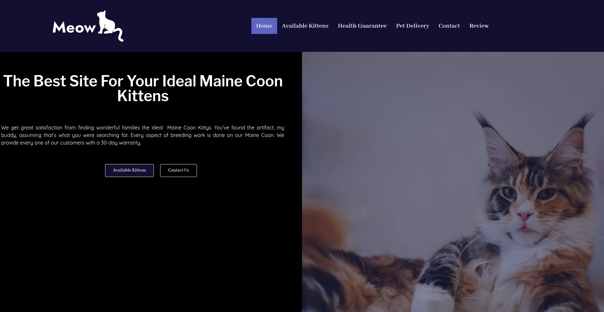Website screenshot of Usmeowokittys.com