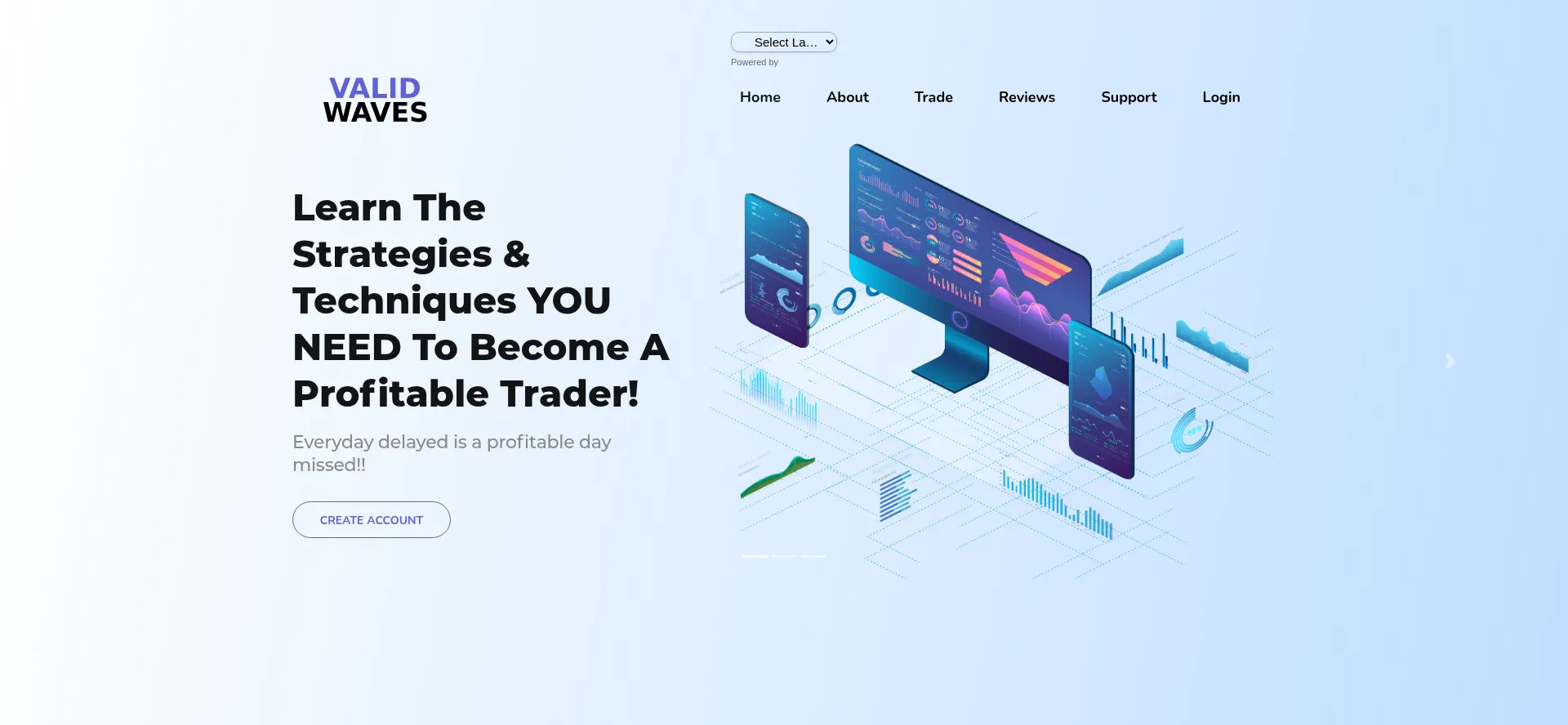Website screenshot of Validwaves.com