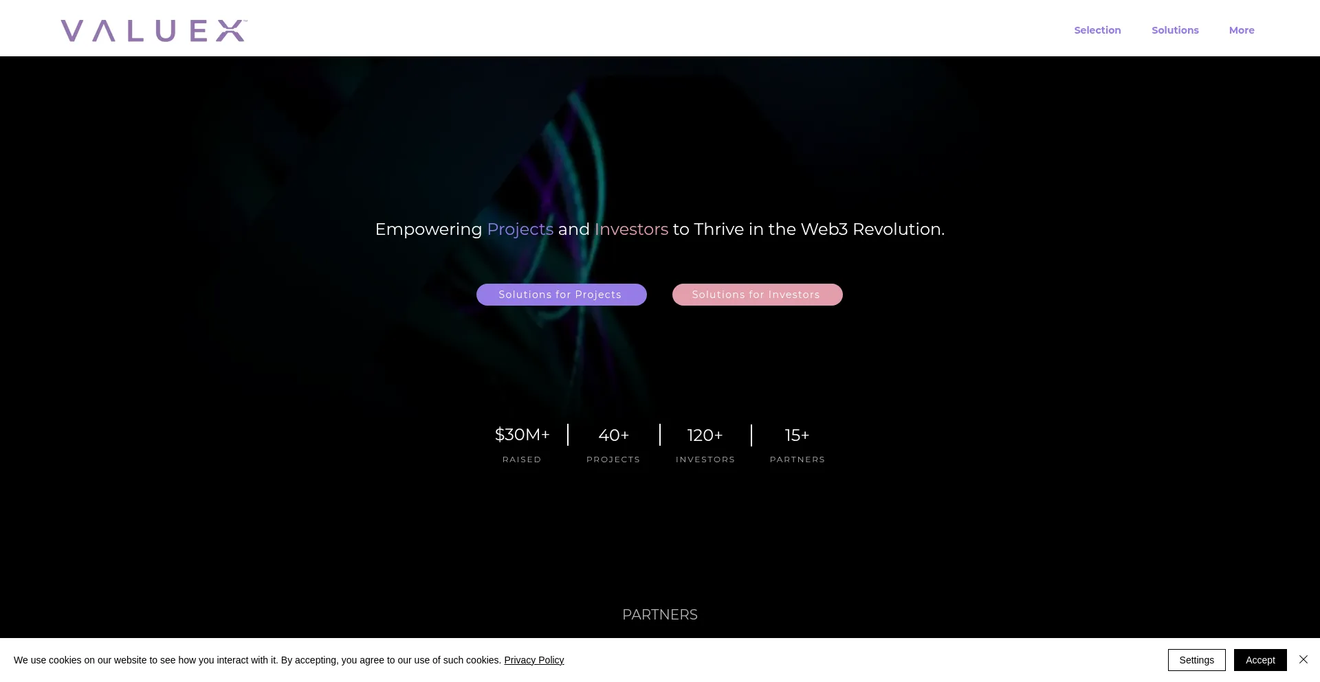 Website screenshot of Valuex.at