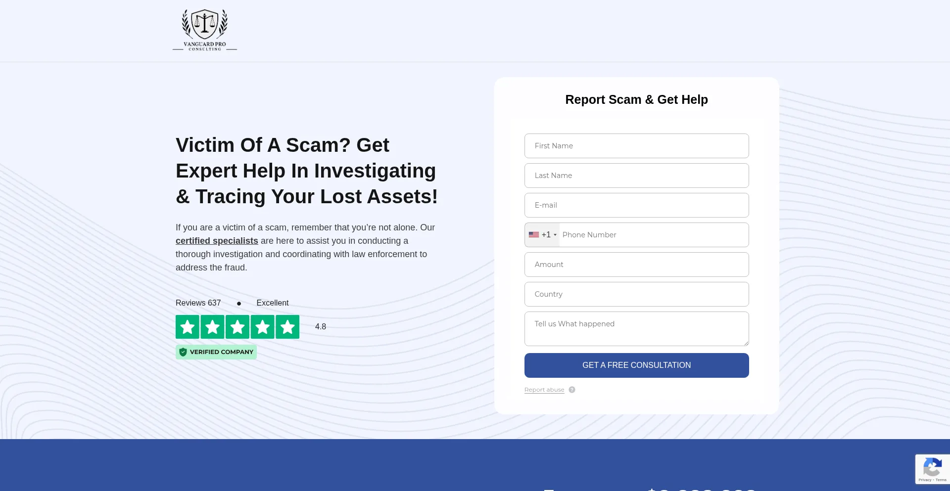 Website screenshot of Vanguardproconsulting.com
