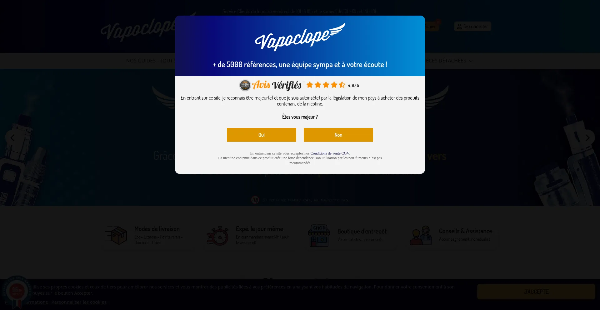 Website screenshot of Vapoclope.fr
