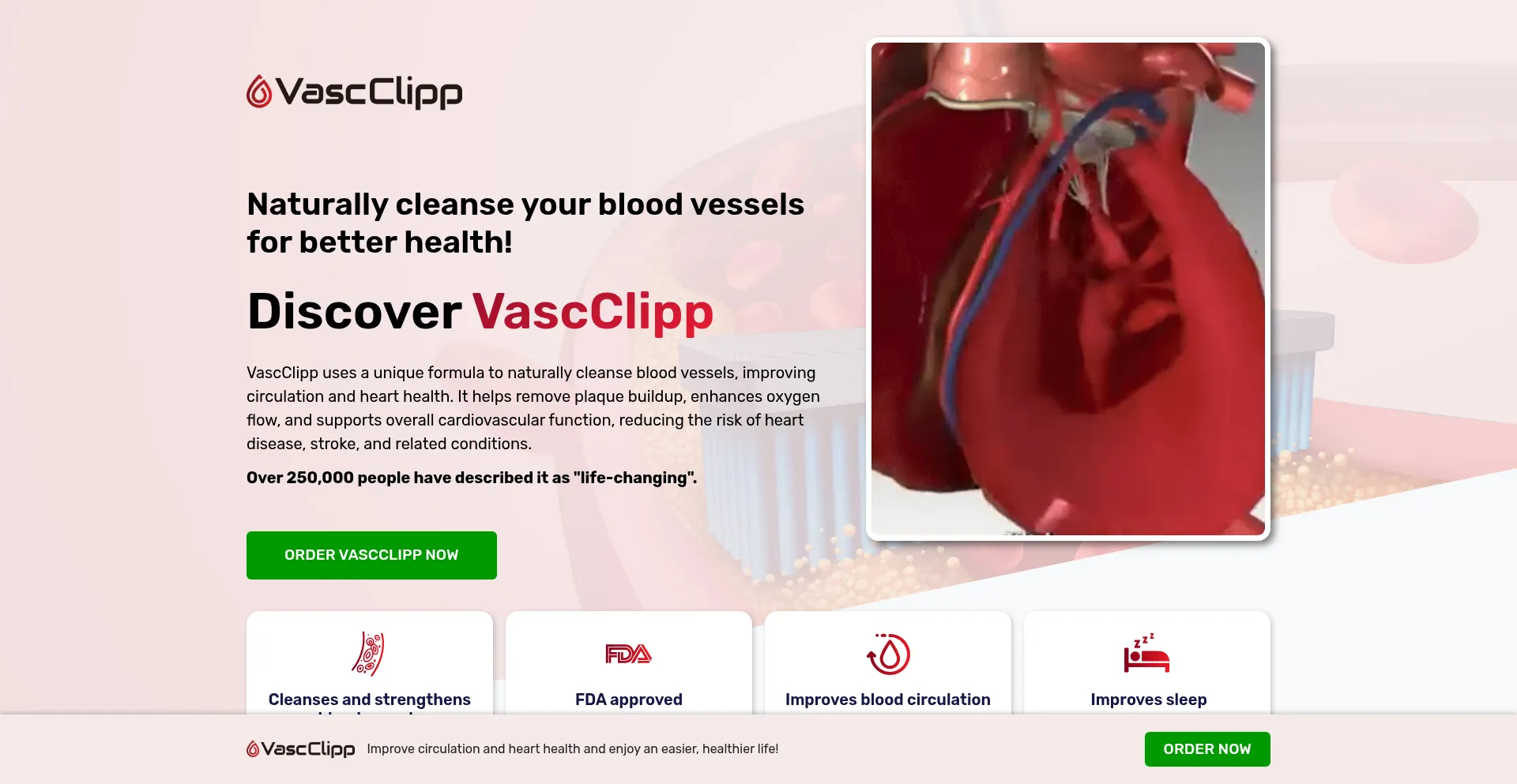 Website screenshot of Vascclipp.com