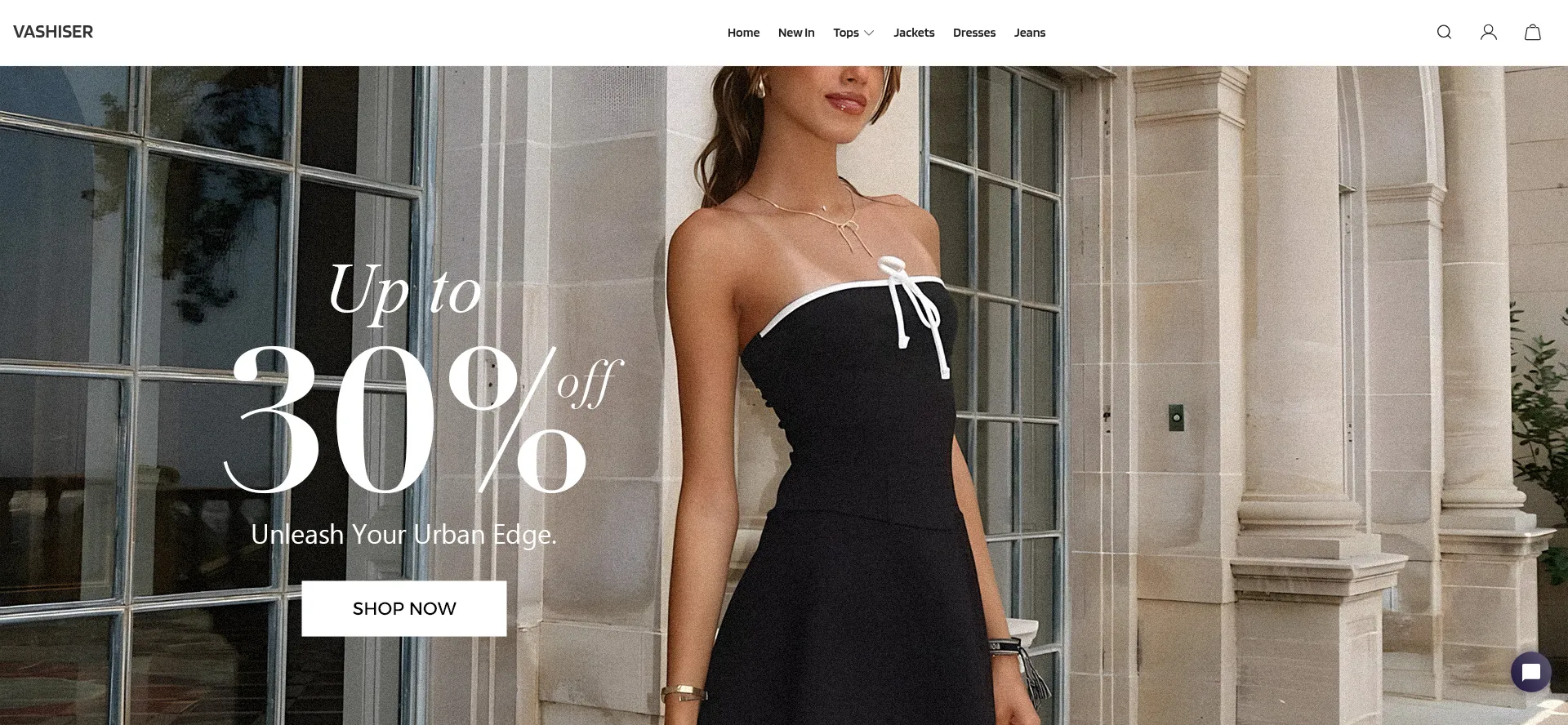 Website screenshot of Vashiser.com