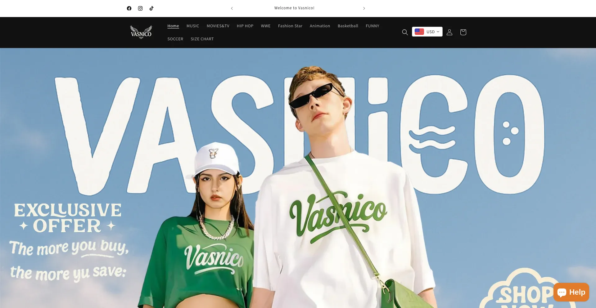 Website screenshot of Vasnico.com