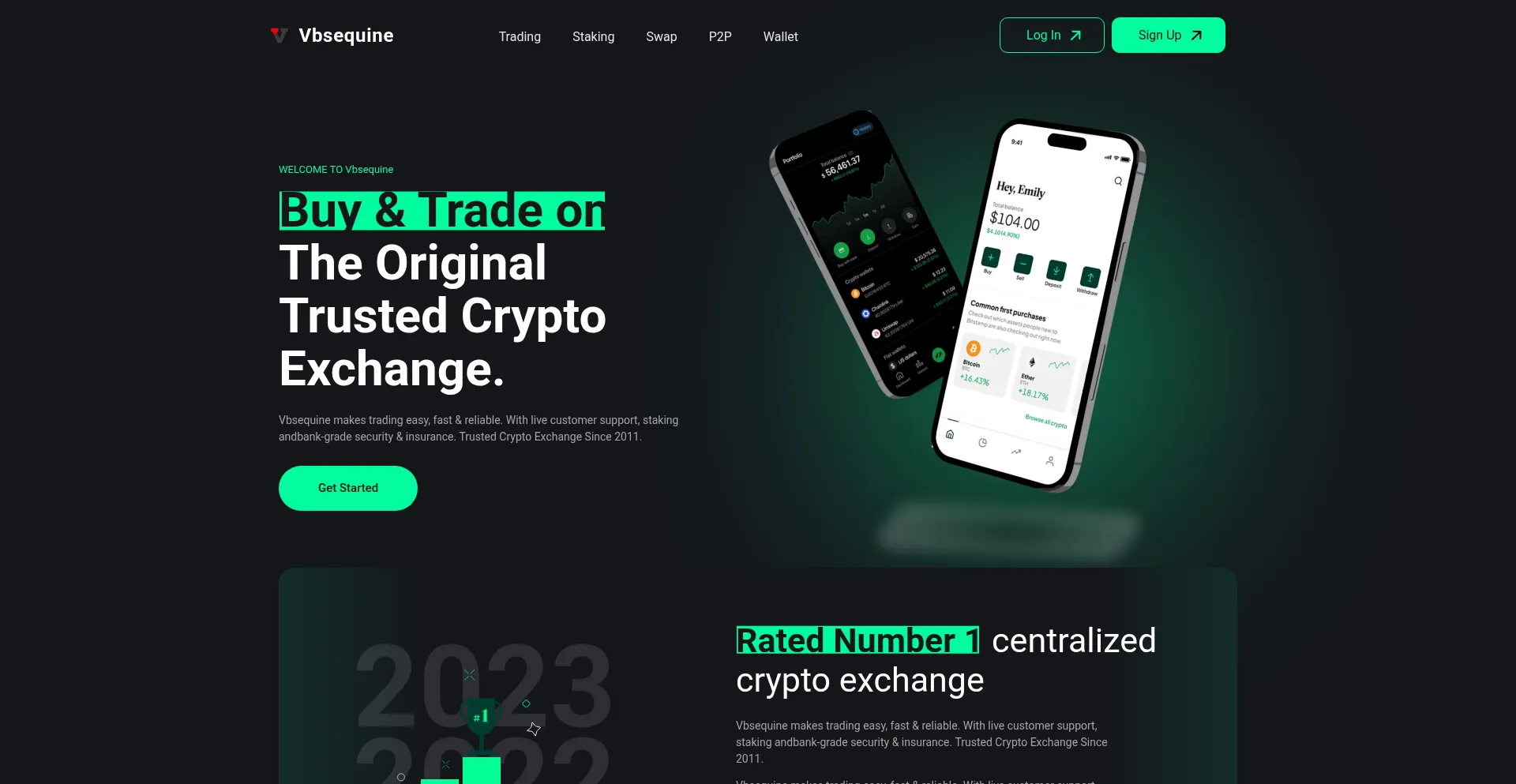 Website screenshot of Vbsequine.com