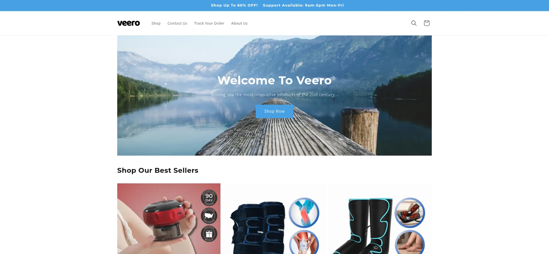 Website screenshot of Veero-us.com