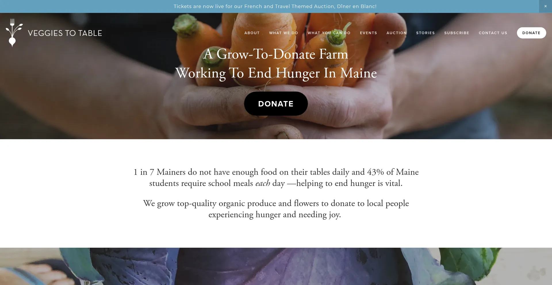 Website screenshot of Veggiestotable.org
