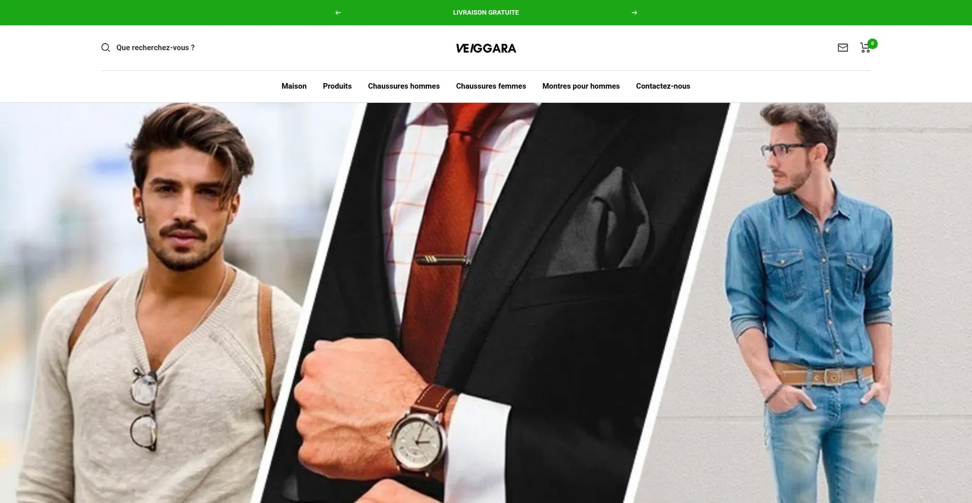 Website screenshot of Veiggara.com