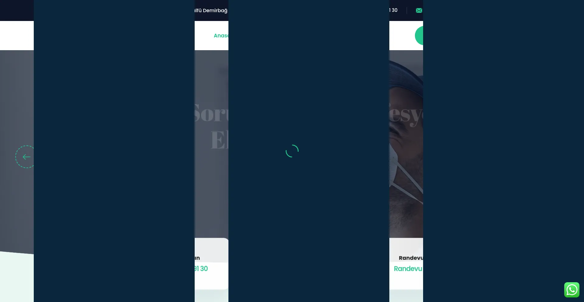 Website screenshot of Vektorex.com
