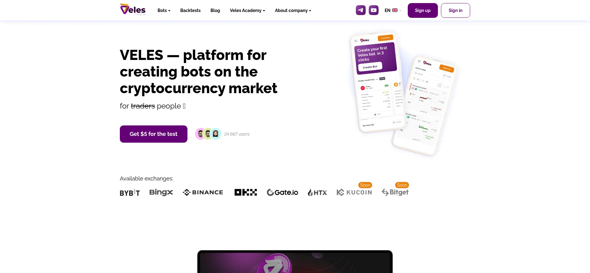 Website screenshot of Veles.finance