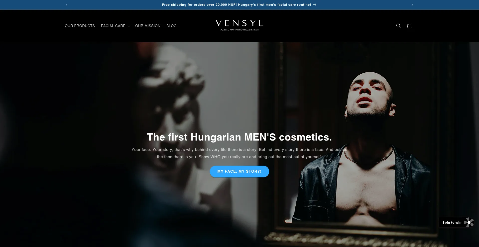 Website screenshot of Vensyl.hu
