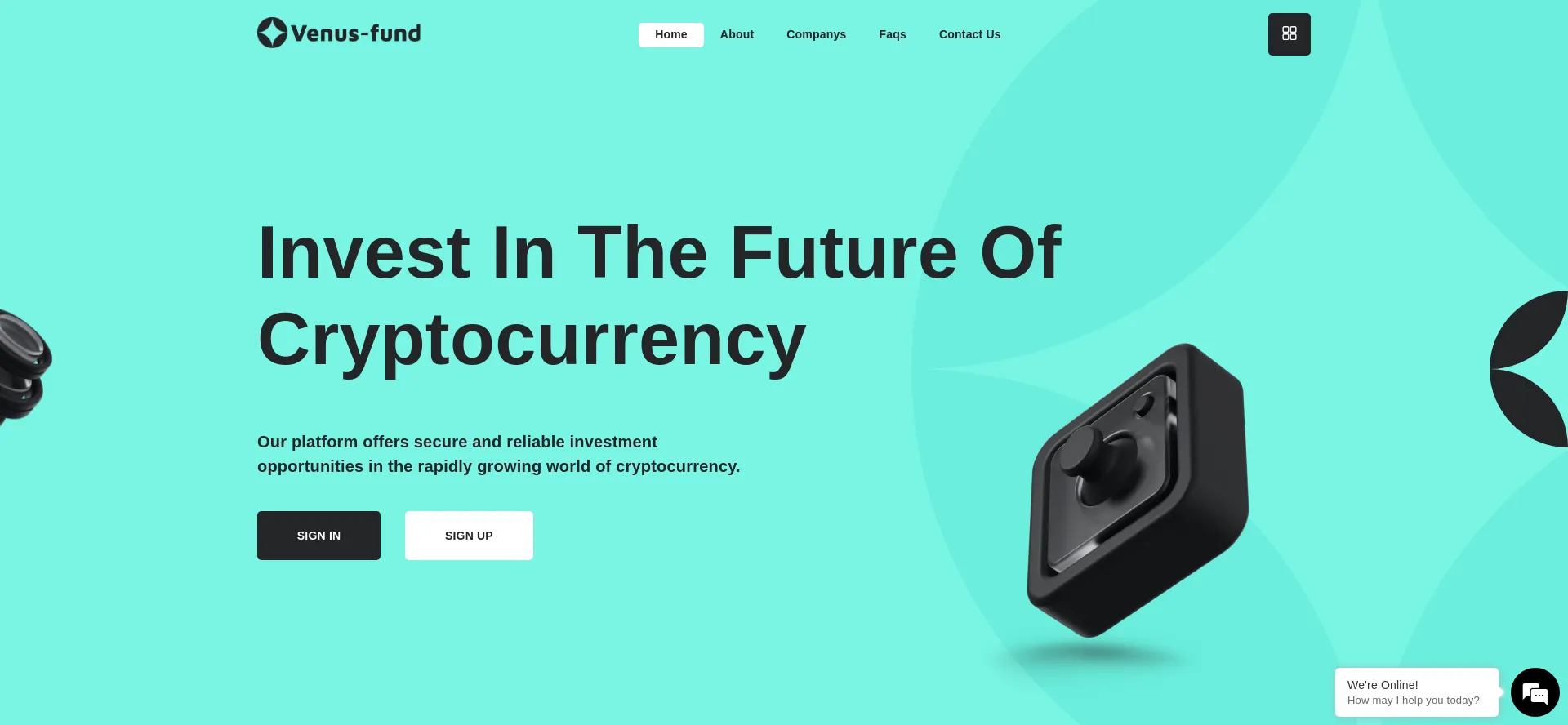 Website screenshot of Venus-fund.org