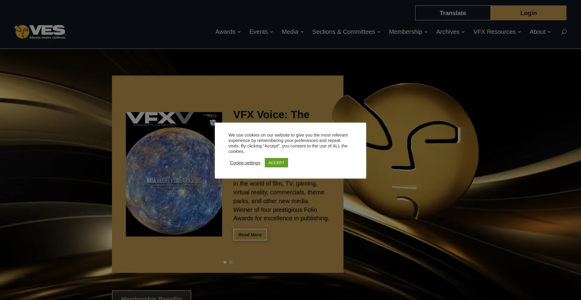 Website screenshot of Vesglobal.org