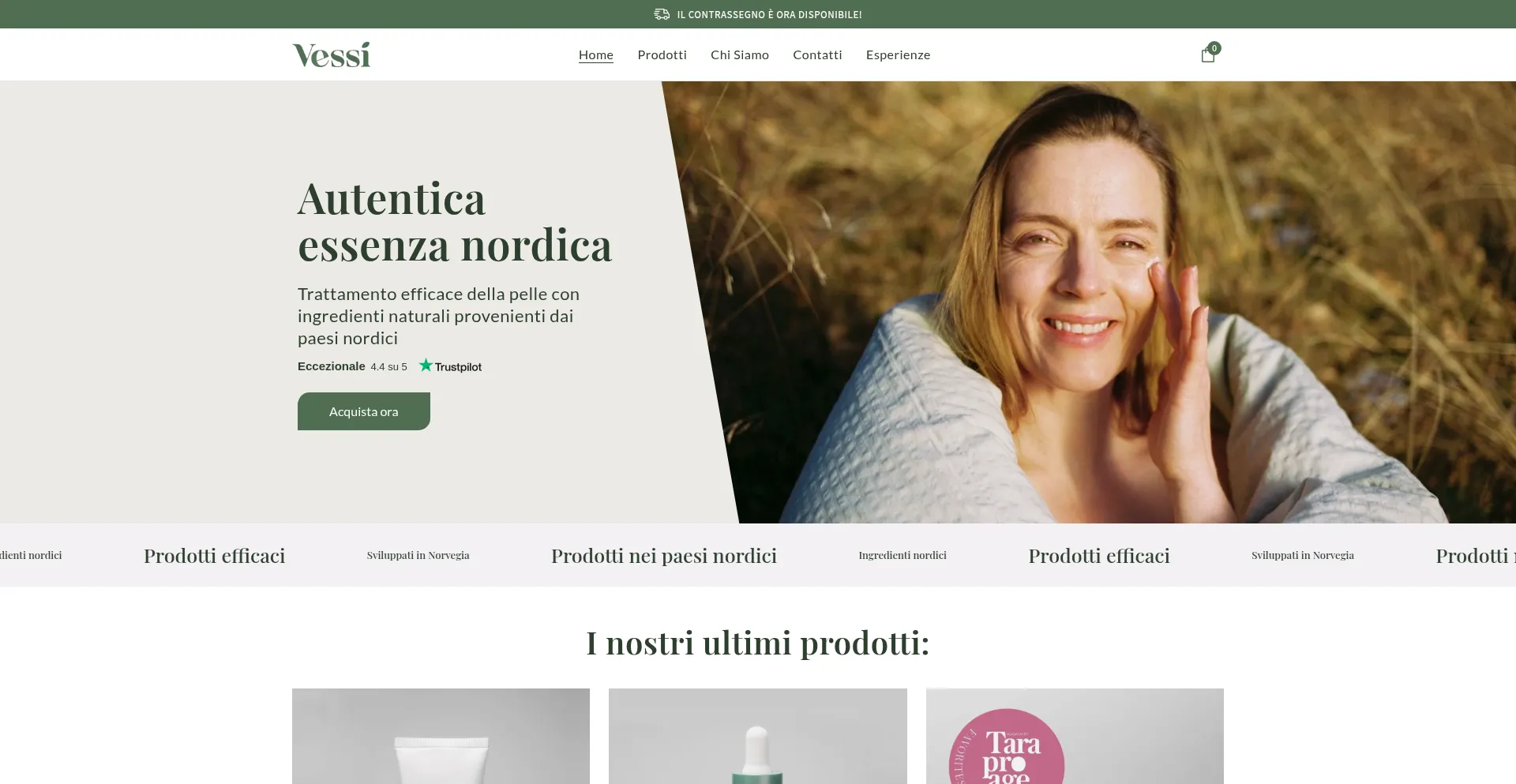 Website screenshot of Vessi.it