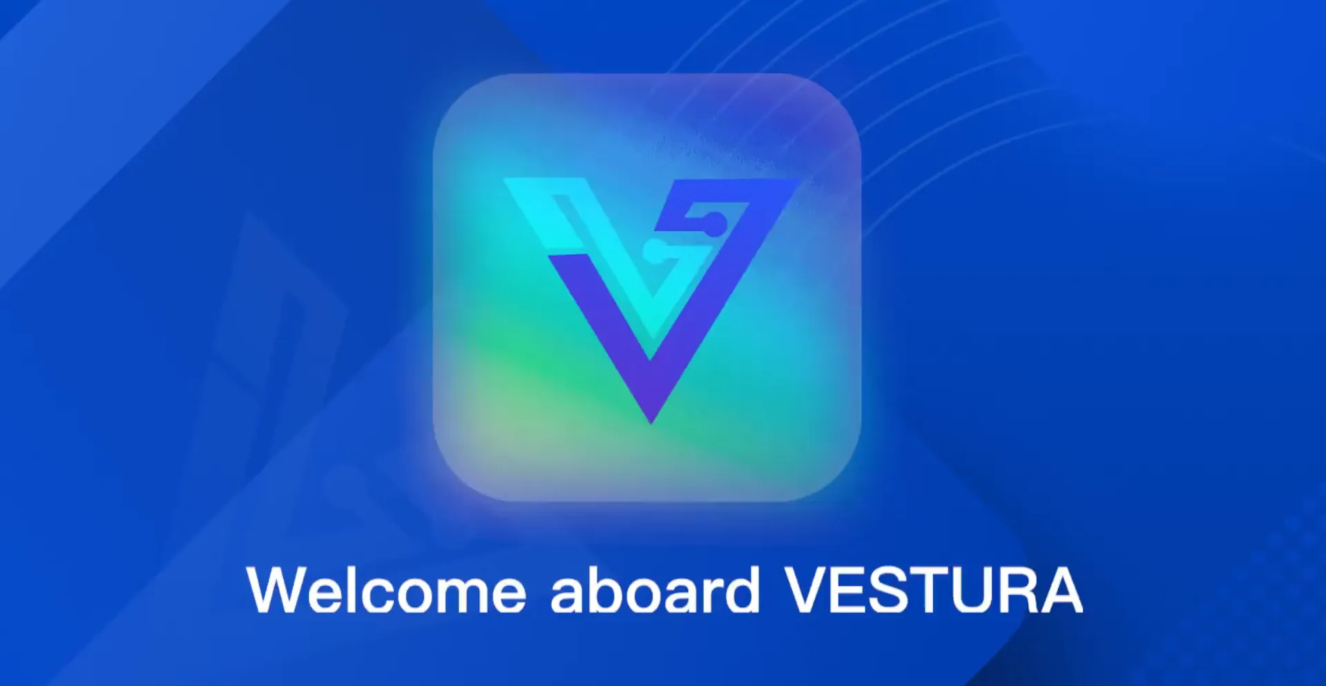 Website screenshot of Vestura.vip